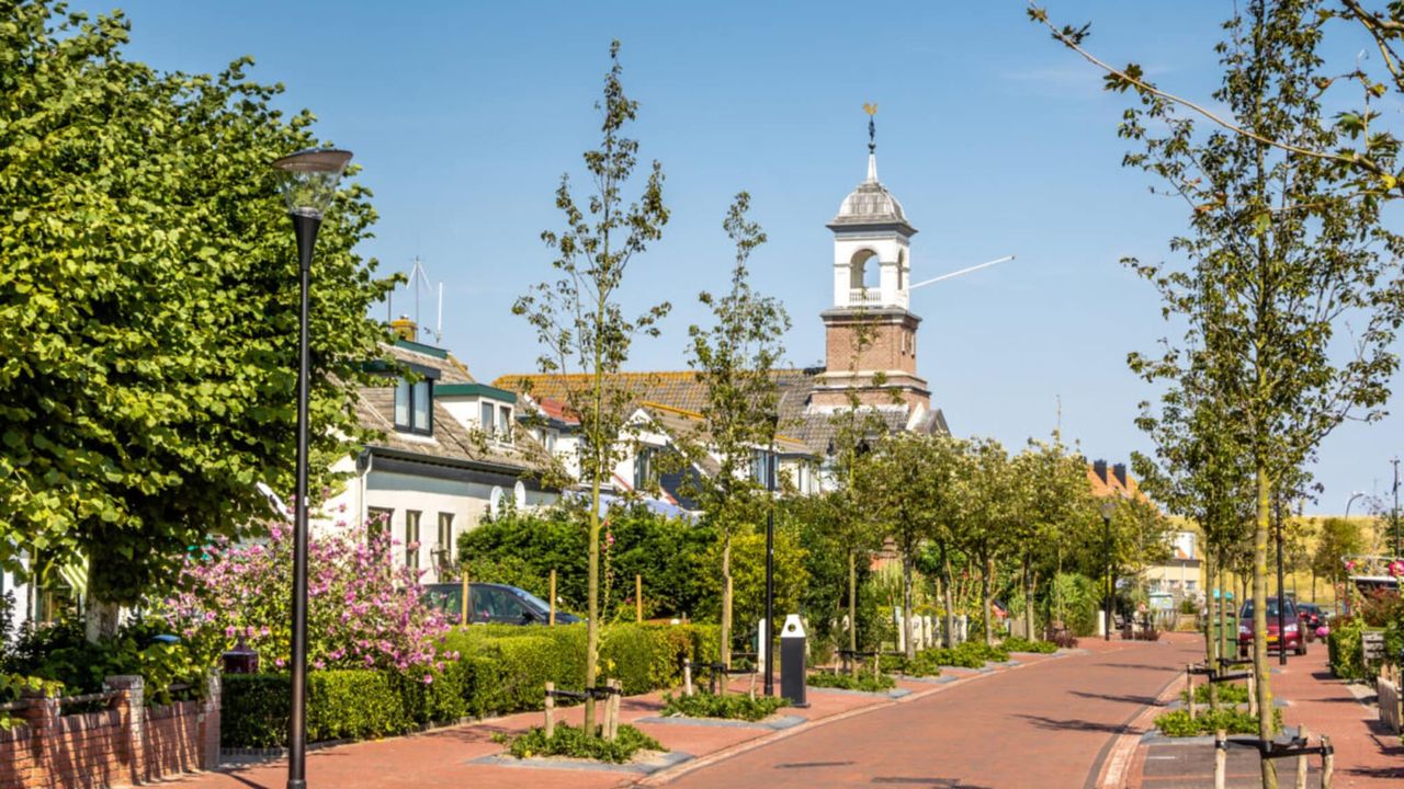 AreaSummer5KM AreaSummer5KM